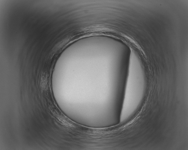 X0000084550873200702230932
