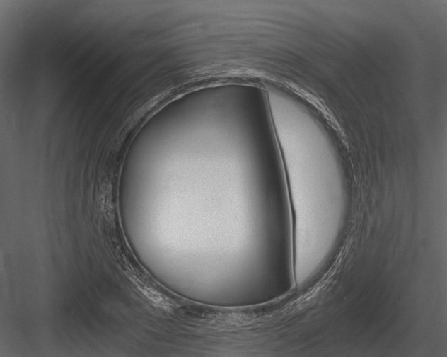 X0000084550881200702230932