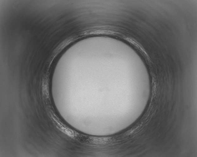 X0000084550882200702230932