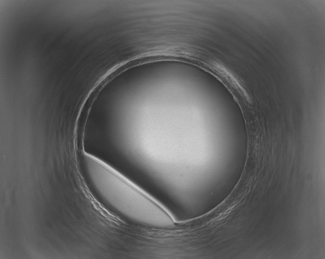 X0000084550884200702230932