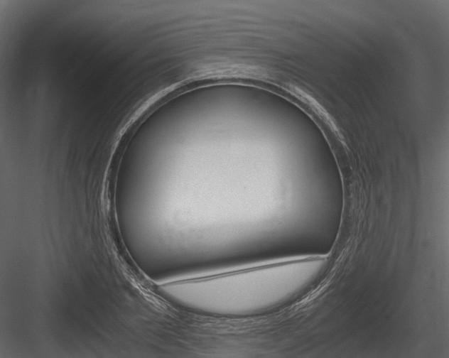 X0000084550885200702230932