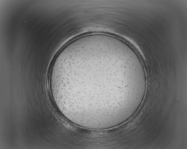 X0000084550887200702230932
