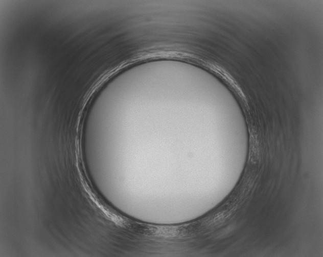 X0000084550890200702230932