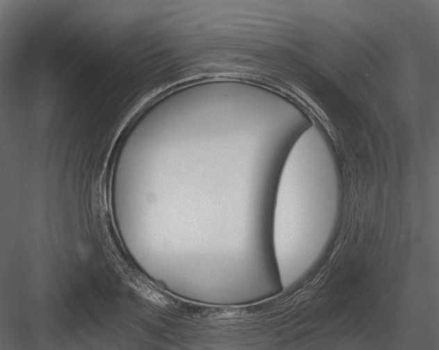 X0000084550891200702230932