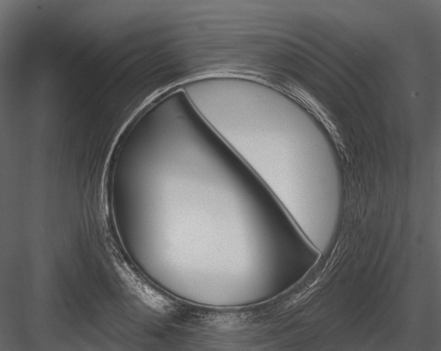 X0000084550892200702230932