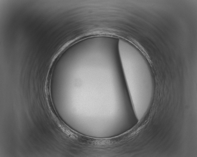 X0000084550893200702230932