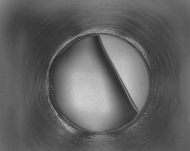 X0000084550894200702230932