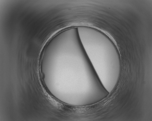 X0000084550895200702230932
