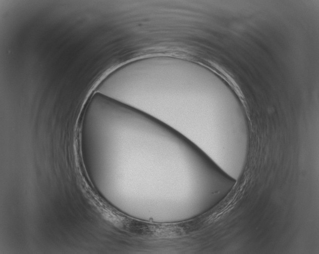 X0000084550899200702230932