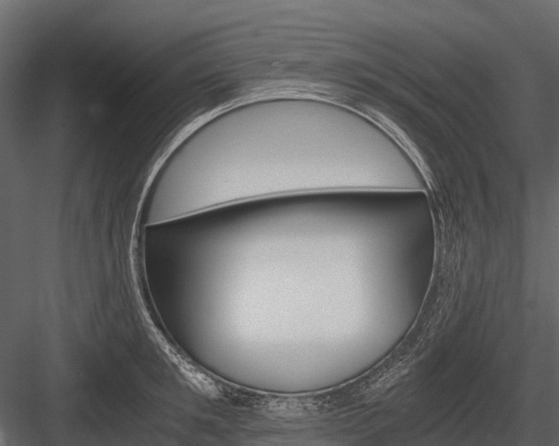 X0000084550901200702230932