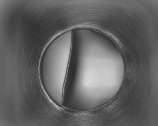 X0000084550902200702230932