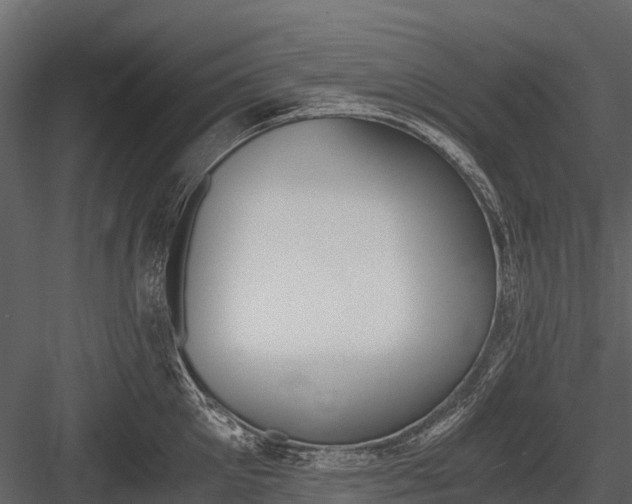 X0000084550905200702230932