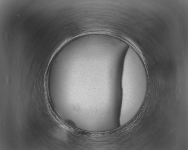 X0000084550907200702230932