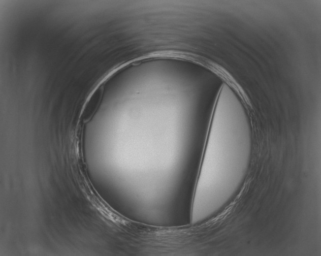 X0000084550908200702230932