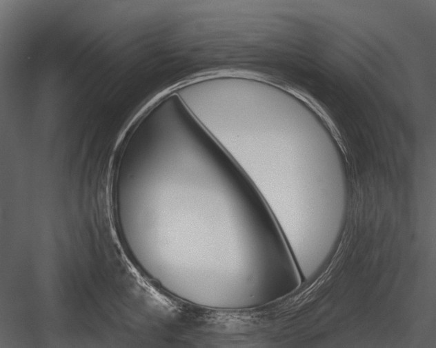 X0000084550910200702230932