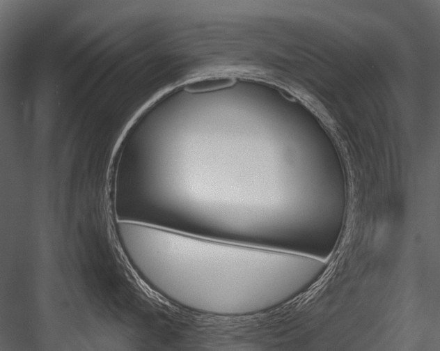 X0000084550912200702230931
