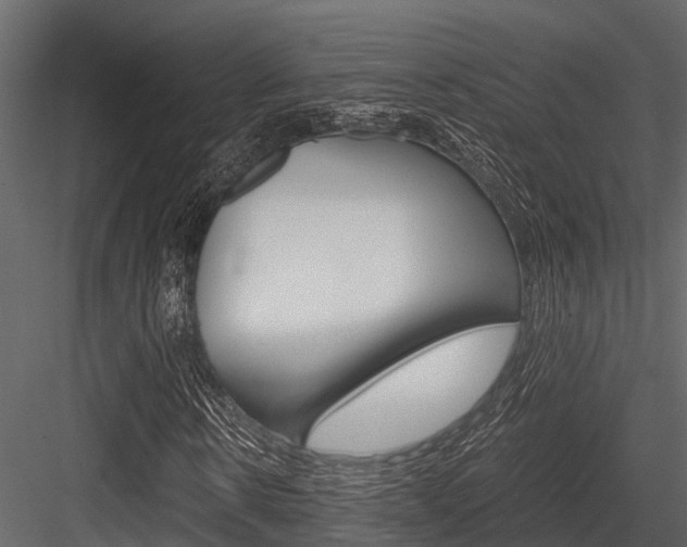 X0000084550914200702230931