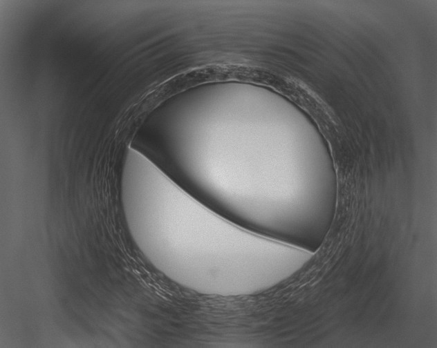 X0000084550919200702230931