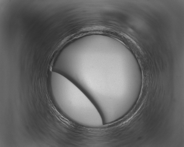 X0000084550921200702230931