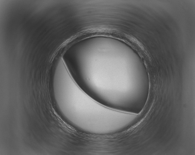 X0000084550922200702230931