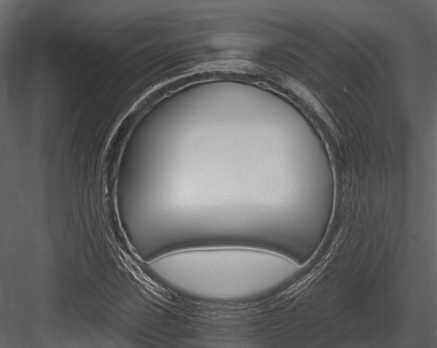 X0000084550923200702230931