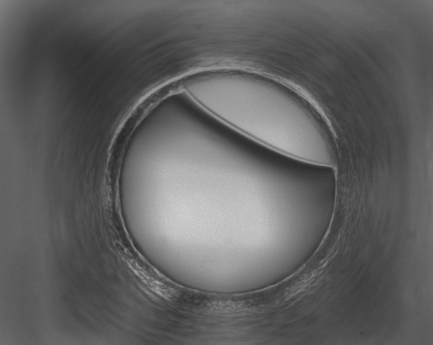 X0000084550927200702230931
