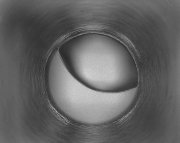 X0000084550930200702230931