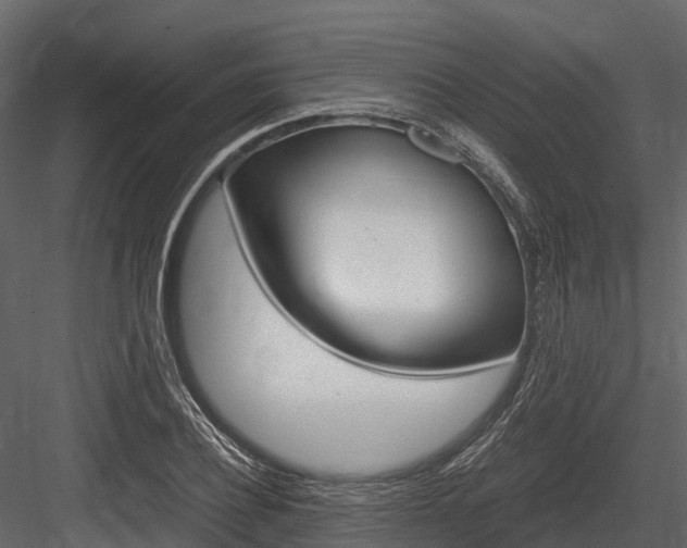 X0000084550932200702230931