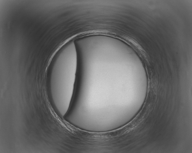 X0000084550933200702230931