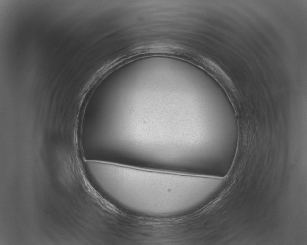 X0000084550938200702230931