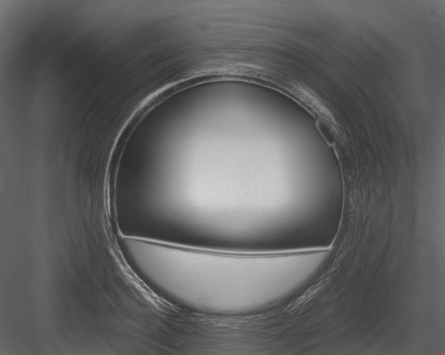 X0000084550940200702230931