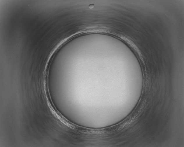 X0000084550941200702230931