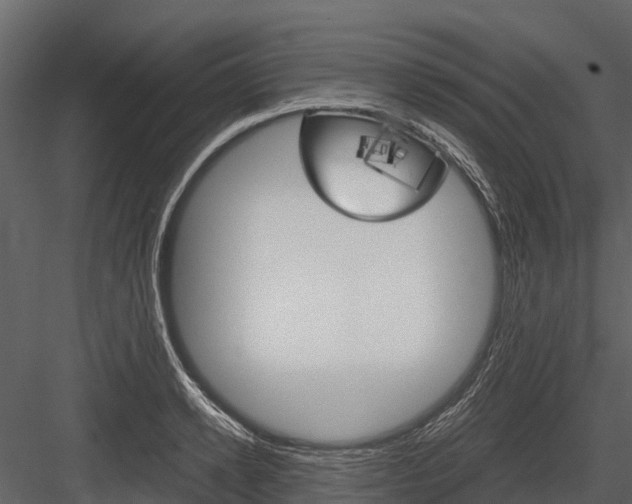 X0000084550942200702230931