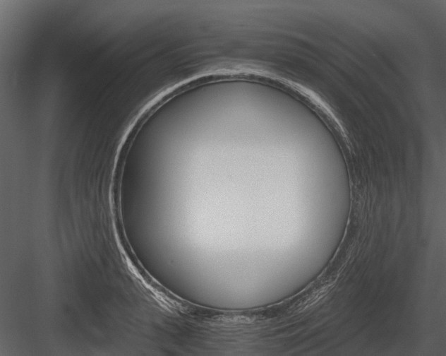 X0000084550943200702230931