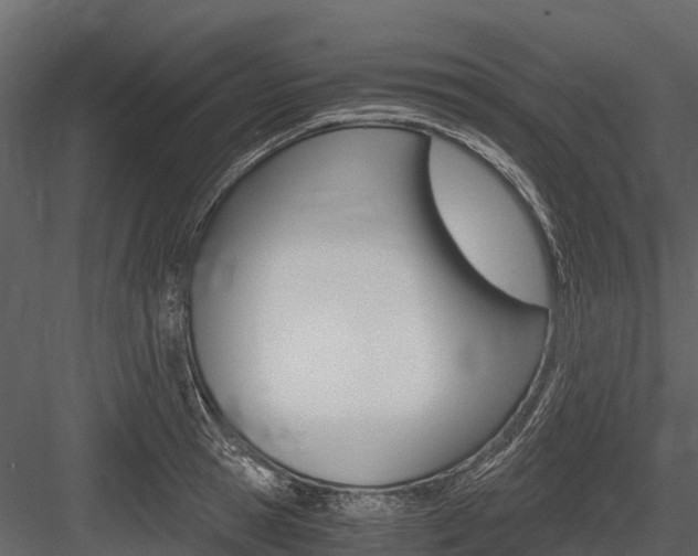 X0000084550945200702230931