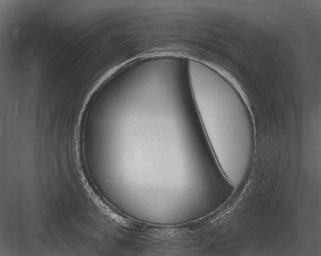X0000084550949200702230931