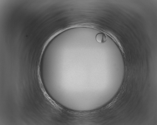 X0000084550952200702230931