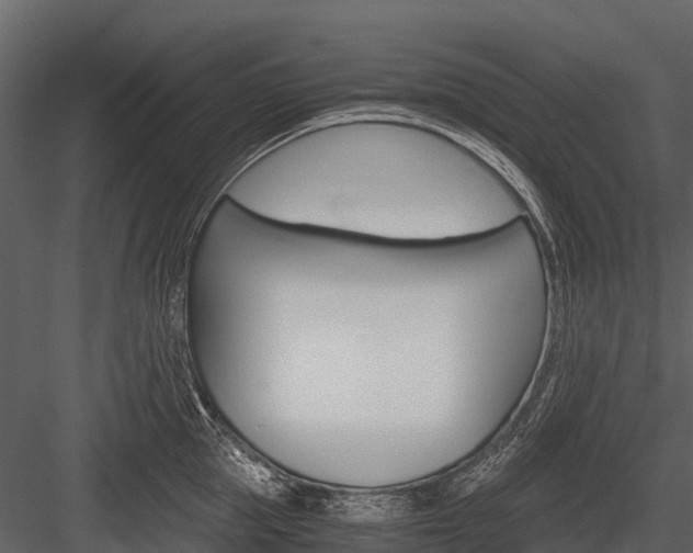 X0000084550953200702230931