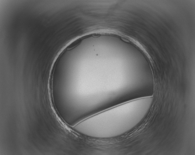 X0000084550959200702230931