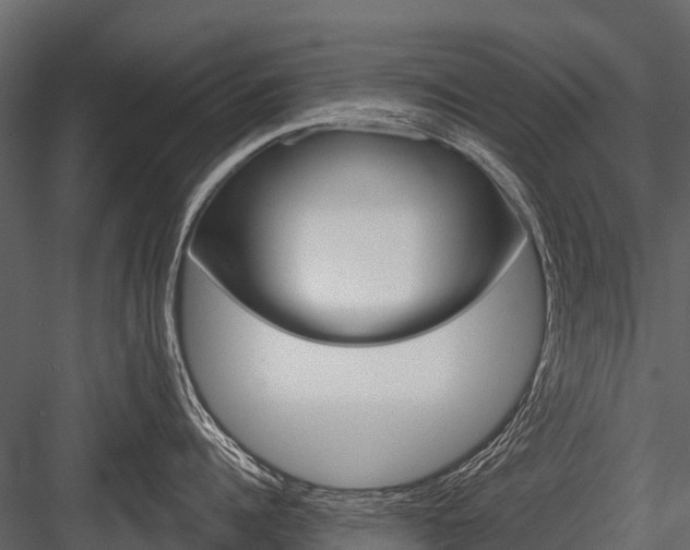 X0000084550960200702230931