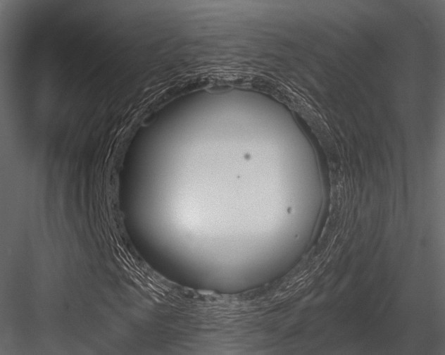 X0000084550961200702230931