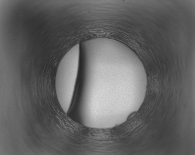 X0000084550962200702230931
