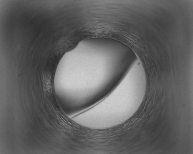 X0000084550963200702230931