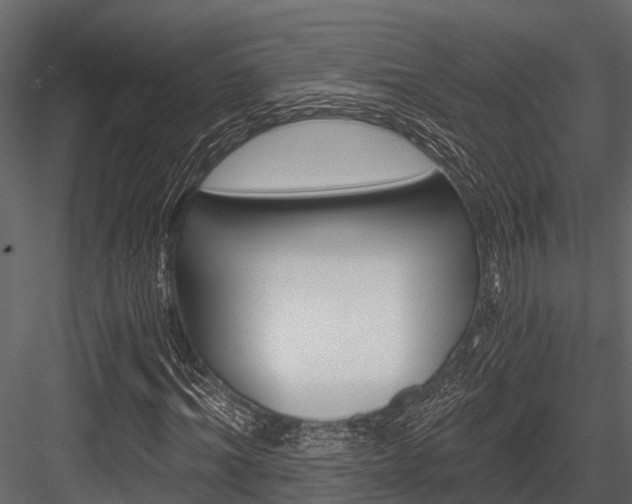 X0000084550964200702230931