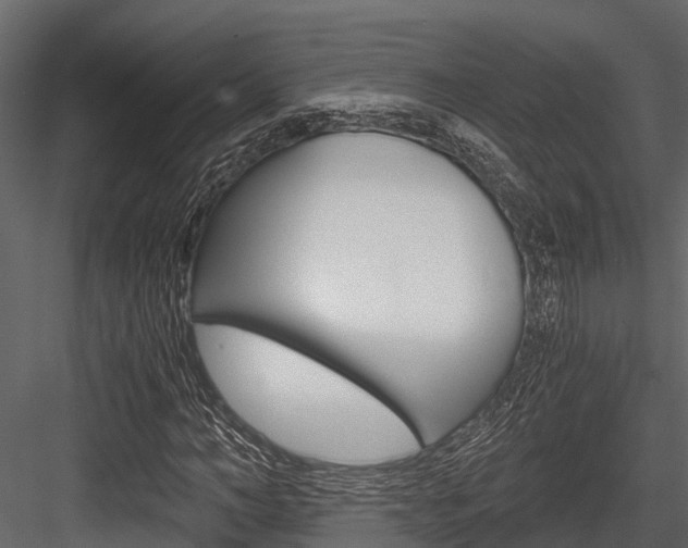 X0000084550966200702230931