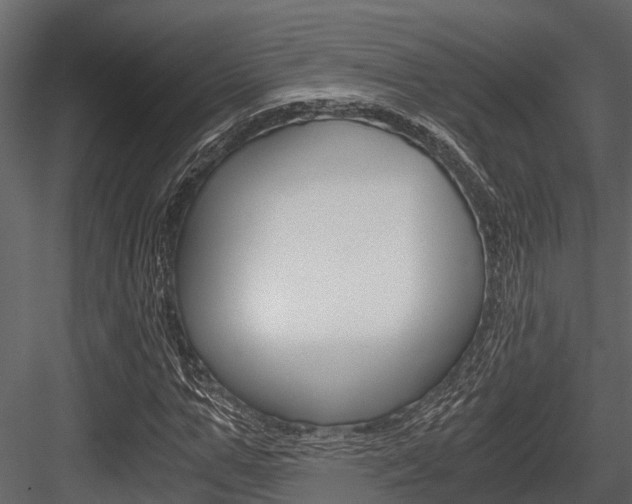 X0000084550967200702230931
