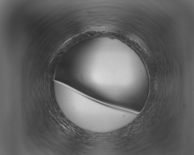 X0000084550968200702230931