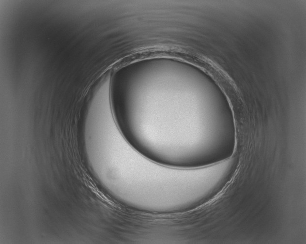 X0000084550969200702230930