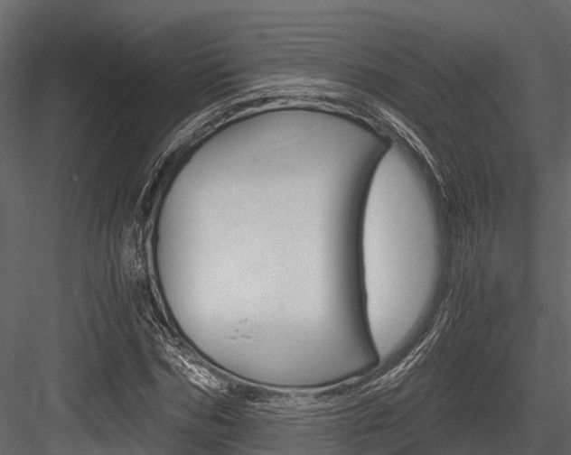 X0000084550970200702230930