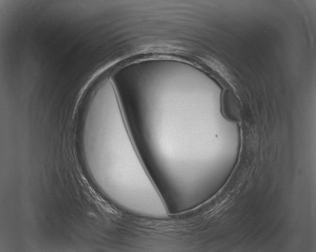 X0000084550971200702230930